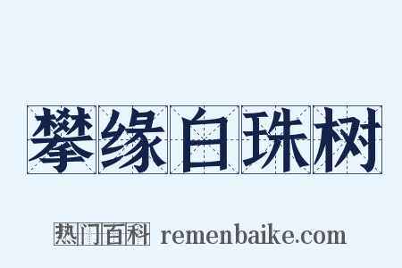 攀缘白珠树是什么意思的图片